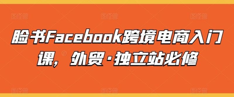 脸书Facebook跨境电商入门课,外贸·独立站必修-生财有道