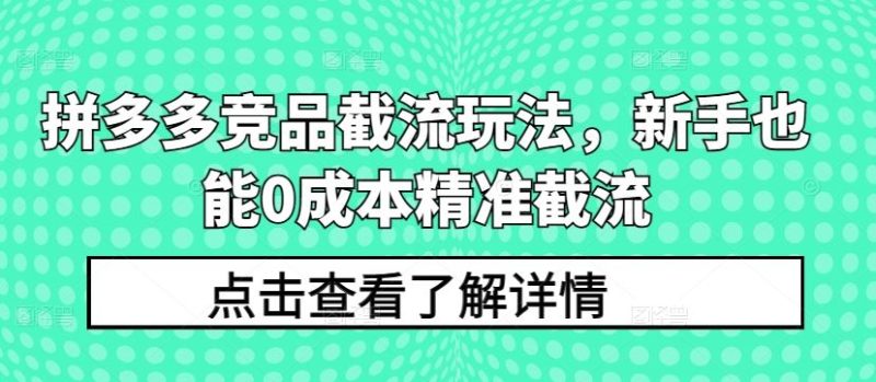 拼多多竞品截流玩法，新手也能0成本精准截流-生财有道