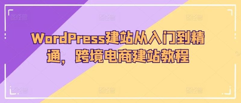 WordPress建站从入门到精通,跨境电商建站教程-生财有道