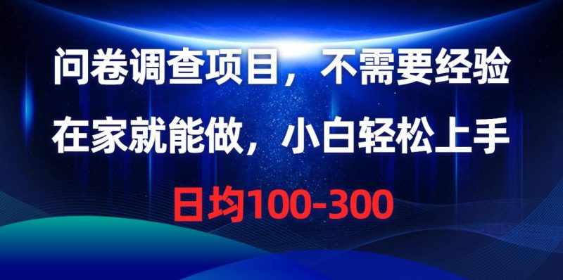 （10402期）问卷调查项目，不需要经验，在家就能做，小白轻松上手，日均100-300-生财有道