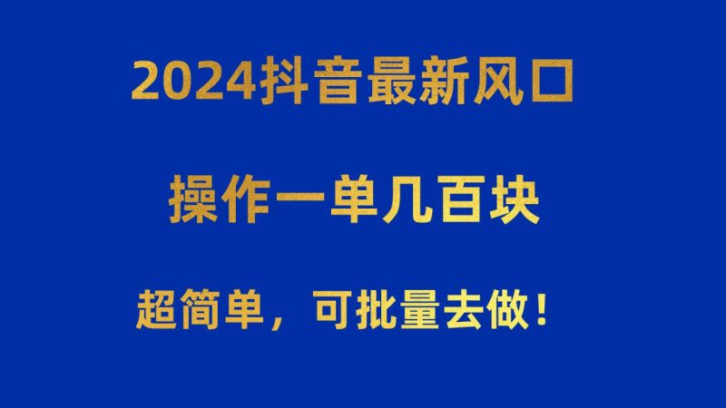（10413期）2024抖音最新风口！操作一单几百块！超简单，可批量去做！！！-生财有道