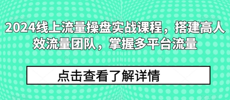 2024线上流量操盘实战课程，搭建高人效流量团队，掌握多平台流量-生财有道