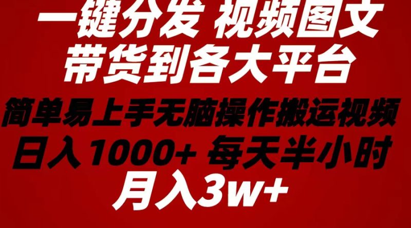 （10667期）2024年 一键分发带货图文视频  简单易上手 无脑赚收益 每天半小时日入1…-生财有道