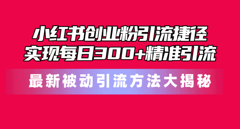 （10692期）小红书创业粉引流捷径！最新被动引流方法大揭秘，实现每日300+精准引流-生财有道