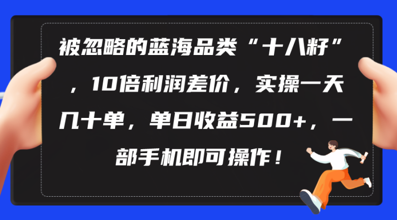 （10696期）被忽略的蓝海品类“十八籽”，10倍利润差价，实操一天几十单 单日收益500+-生财有道