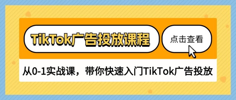 （10731期）TikTok广告投放课程，从0-1实战课，带你快速入门TikTok广告投放（30节课）-生财有道