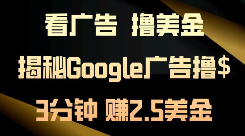 (10912期)看广告,撸美金!3分钟赚2.5美金!日入200美金不是梦!揭秘Google广告…-生财有道