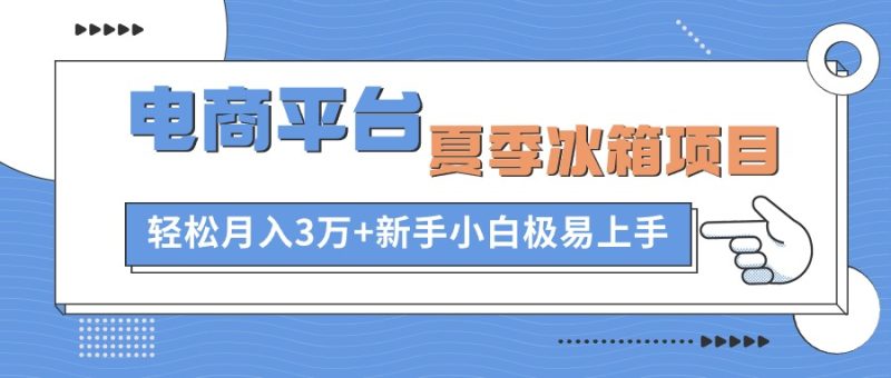 （10934期）电商平台夏季冰箱项目，轻松月入3万+，新手小白极易上手-生财有道