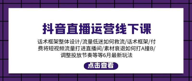 (11211期)抖音直播运营线下课:话术框架/付费流量直播间/素材A撞B/等6月新玩法-生财有道