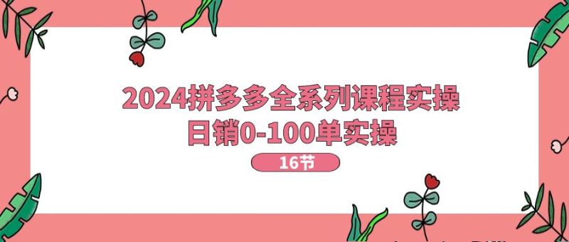 (11222期)2024拼多多全系列课程实操,日销0-100单实操【16节课】-生财有道