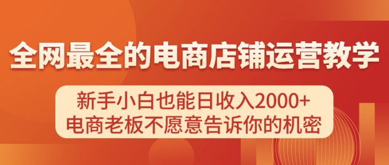 （11266期）电商店铺运营教学，新手小白也能日收入2000+，电商老板不愿意告诉你的机密-生财有道