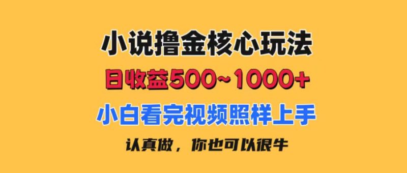 (11461期)小说撸金核心玩法,日收益500-1000+,小白看完照样上手,0成本有手就行-生财有道
