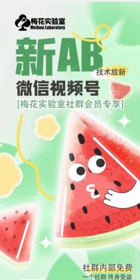 梅花实验室2024年AB技术视频号AB合成破解版-生财有道
