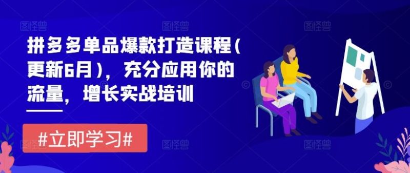 拼多多单品爆款打造课程(更新6月)，充分应用你的流量，增长实战培训-生财有道