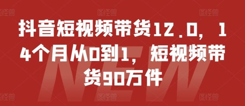 抖音短视频带货12.0，14个月从0到1，短视频带货90万件-生财有道