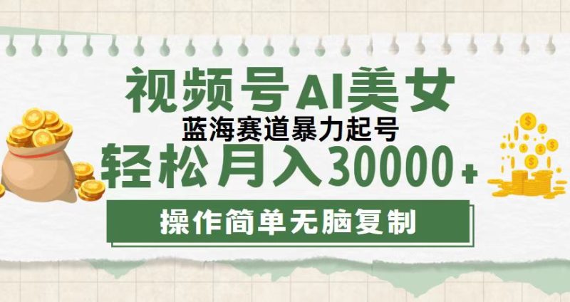 （12087期）视频号AI美女跳舞，轻松月入30000+，蓝海赛道，流量池巨大，起号猛，无…-生财有道