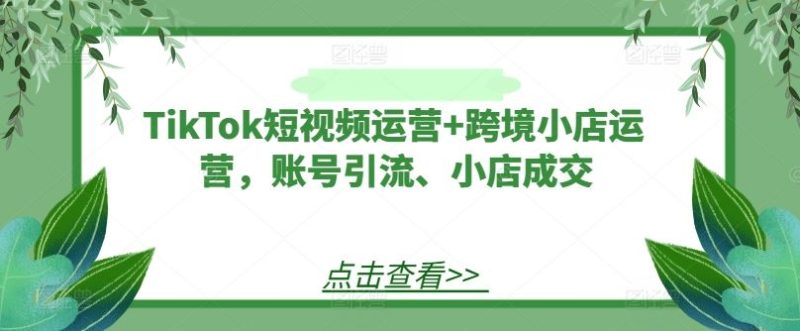 TikTok短视频运营+跨境小店运营,账号引流、小店成交-生财有道