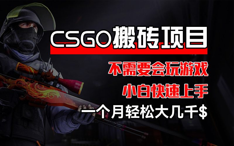 (12332期)CSGO 装备搬砖项目,操作简单,不需要会玩游戏,小白也能快速上手,一…-生财有道
