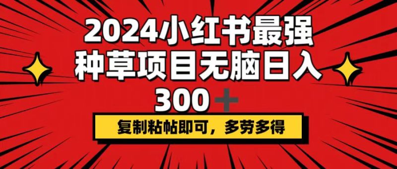 （12336期）2024小红书最强种草项目，无脑日入300+，复制粘帖即可，多劳多得-生财有道