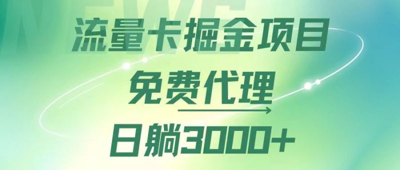 （12321期）流量卡掘金代理，日躺赚3000+，变现暴力，多种推广途径-生财有道