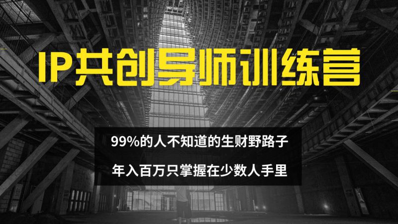 (12504期)IP共创导师训练营 99%的人不知道的生财野路子 只掌握在少数人手里_生财有道创业网-生财有道