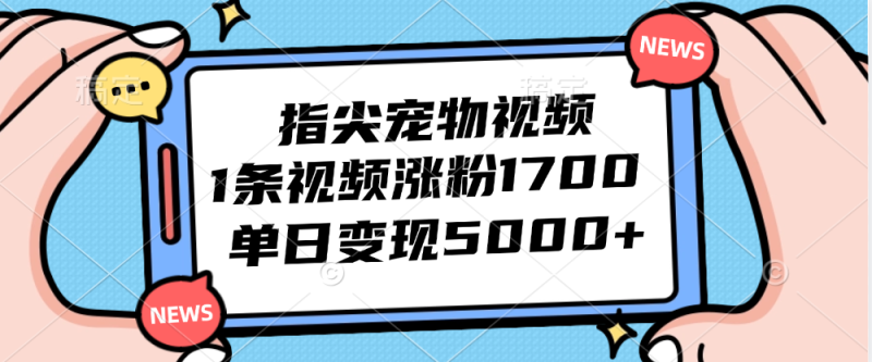 (12549期)指尖宠物视频,1条视频涨粉1700,单日变现5000+_生财有道创业网-生财有道