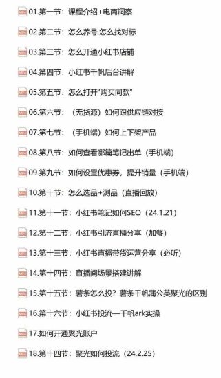 小红书快速赚钱电商特训营:用简单方式通过小红书快速变现!(55节)-生财有道