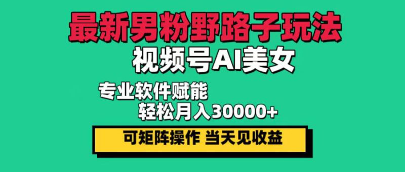 (12909期)最新男粉野路子玩法,视频号AI美女,当天见收益,轻松月入30000+_生财有道创业项目网-生财有道