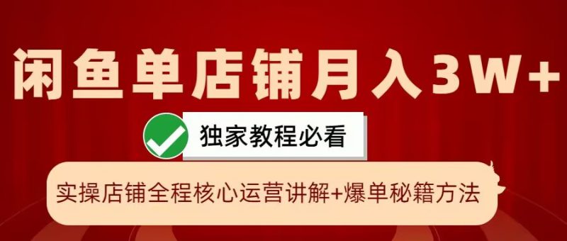闲鱼单店铺月入3W+实操展示,爆单核心秘籍,一学就会【揭秘】——生财有道创业项目网-生财有道