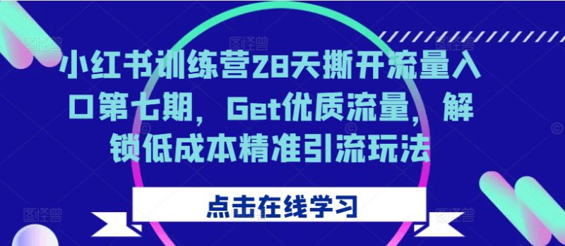 小红书训练营28天撕开流量入口第七期，Get优质流量，解锁低成本精准引流玩法——生财有道创业项目网-生财有道