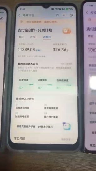(12970期)2024年底最稳项目,小白无门槛,坚持做三个月,回家过肥年!!!_生财有道创业项目网-生财有道
