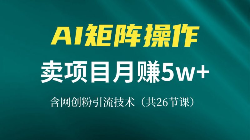 (13335期)网创IP打造课,借助AI卖项目月赚5万+,含引流技术(共26节课)_生财有道创业项目网-生财有道