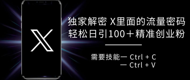 独家解密 X 里面的流量密码，复制粘贴轻松日引100+粉，精准迅速获客_生财有道创业网-生财有道