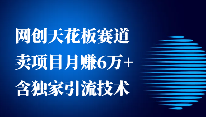 网创天花板赛道,卖项目月赚6万+,含独家引流技术(共26节课)_生财有道创业网-生财有道