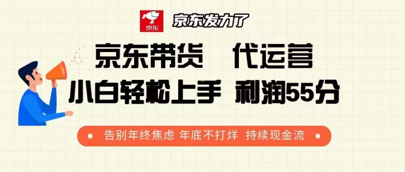 (13833期)京东带货 代运营 利润55分 告别年终焦虑 年底不打烊 持续现金流_生财有道创业项目网-生财有道