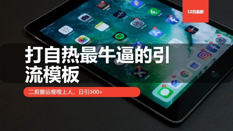 (13654期)打自热最牛逼的引流模板,二剪搬运嗖嗖上人,日引300+_生财有道创业项目网-生财有道