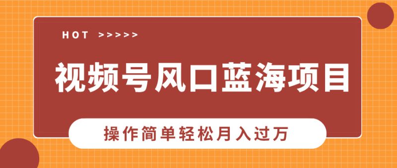 (13945期)视频号风口蓝海项目,中老年人的流量密码,操作简单轻松月入过万_生财有道创业项目网-生财有道