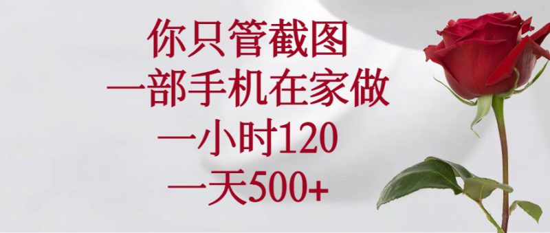 (14248期)你只管截图,一部手机在家做,一小时120,一天500+_生财有道创业项目网-生财有道