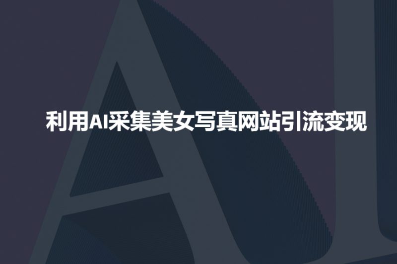 利用AI采集美女写真网站引流变现,引流嘎嘎的——生财有道创业项目网-生财有道