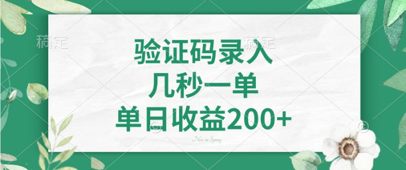 (14221期)验证码录入,几秒一单,单日收益200+_生财有道创业项目网-生财有道
