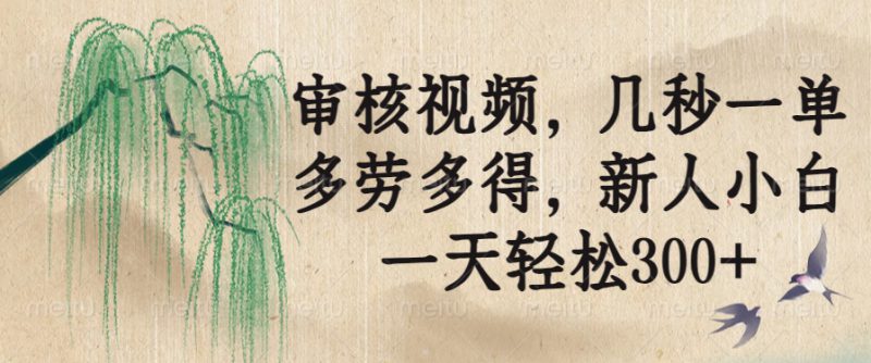 (14203期)审核视频,几秒一单,多劳多得,新人小白一天轻松300+_生财有道创业项目网-生财有道