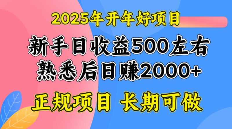 (14076期)2025开年好项目,单号日收益2000左右_生财有道创业项目网-生财有道