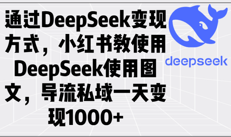(14179期)通过DeepSeek变现方式,小红书教使用DeepSeek图文,导流私域一天变现1000+_生财有道创业项目网-生财有道