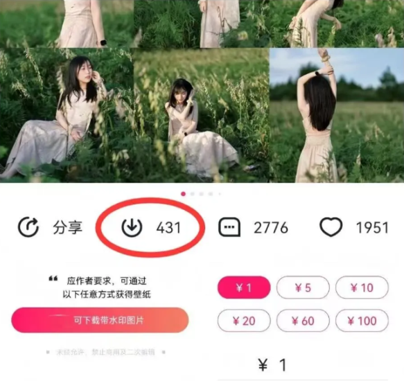 最新图虫搬运项目,收益无上限,利用AI小白也可日赚500+_生财有道创业网-生财有道