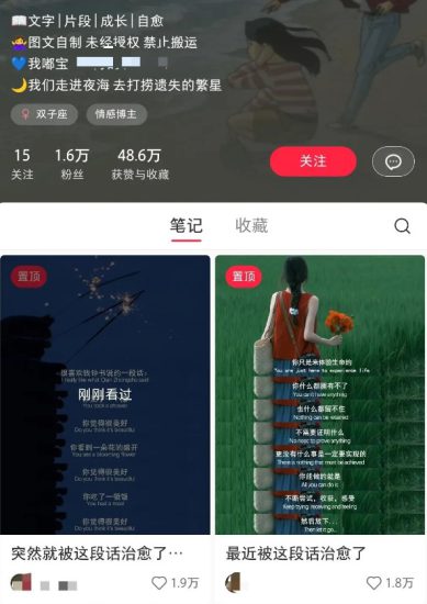 小红书治愈文案图文笔记，零门槛，一分钟制作轻松制作爆款作品月入万元_生财有道创业网-生财有道