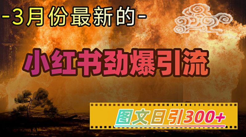 小红书超劲爆引流手段,图文日引300+轻松变现1W——生财有道创业项目网-生财有道