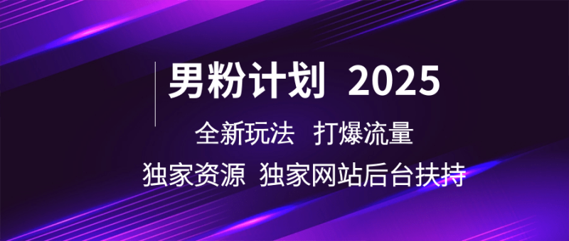 男粉计划2025  全新玩法打爆流量 独立网站 独立资源后台扶持_生财有道创业网-生财有道
