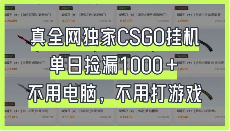 真全网独家CSGO挂机，单日捡漏1000+，不用电脑，不用养号_生财有道创业网-生财有道