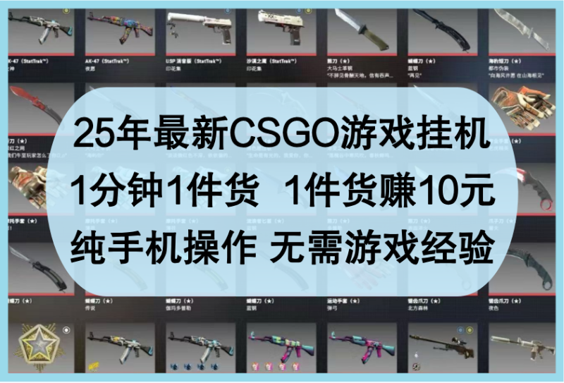 25年最新CSGO游戏挂机,1分钟1件货,1件货赚10元,纯手机操作,无需游戏经验_生财有道创业网-生财有道