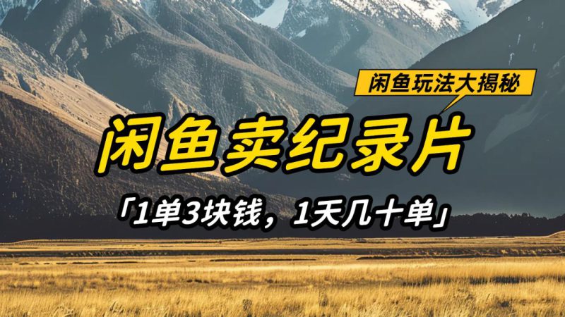 闲鱼卖纪录片,简单又赚钱的小项目,1单3块钱 1天几十单_生财有道创业网-生财有道